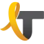 languageteam.it favicon