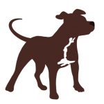 hound-solo.com favicon