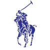 poloindonesia.id favicon