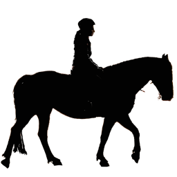 riverviewrandr.com favicon