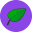 salviaseller.com favicon