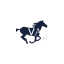 valleyequinehospital.co.uk favicon