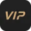 vipskies.com favicon