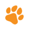4pawsraw.co.uk favicon