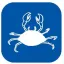 acquapazzaristorante.it favicon