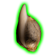 brothersgrimmseeds.com favicon