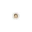 papacares.co.in favicon