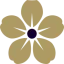 caringhomes.org favicon