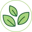 pousse-pousse.com favicon