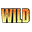 wildfloridairboats.com favicon