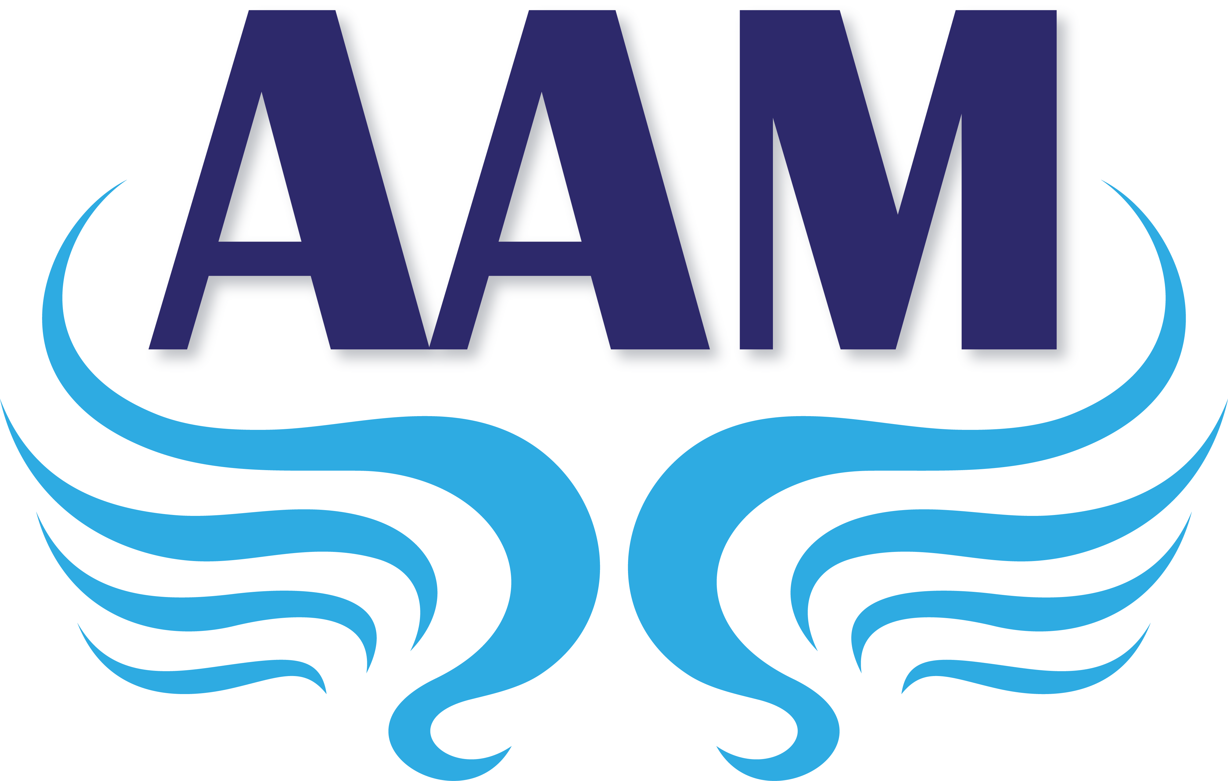 aam-supplies.com favicon