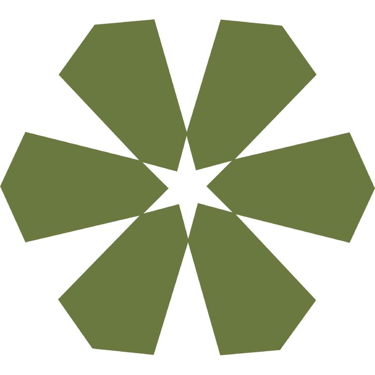 thealifmedia.com favicon