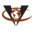 canview.com favicon