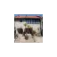 casinhadahorta.com favicon