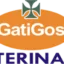 gatigos.es favicon