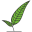 groengraag.nl favicon