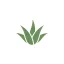 myaloevera.co.uk favicon