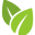 purelegacy.co.uk favicon