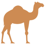 transfert-marrakech.com favicon