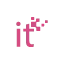 wire-itsolutions.com favicon