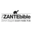 zantebible.com favicon