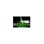 azshuttleselect.com favicon