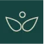brume-cosmetic.com favicon