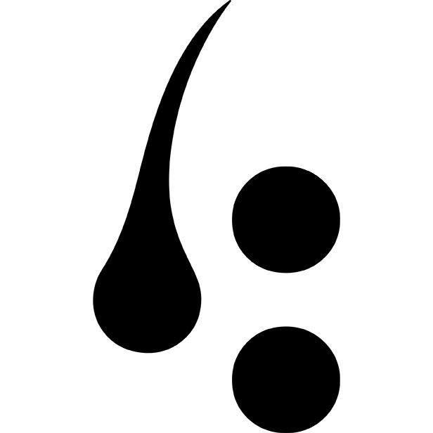 drulusan.com favicon