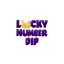luckynumberdip.com favicon