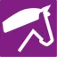 ponymag.com favicon