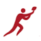 sportscollectibles.com favicon