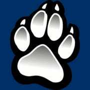 wolfspins.com favicon