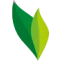 calafeascandinavia.dk favicon