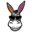 donkeydesigns.nl favicon