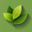 hoveniereindhoven.net favicon