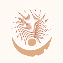 linensloom.com favicon