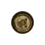 safariembassy.com favicon