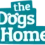 dogshome.net favicon