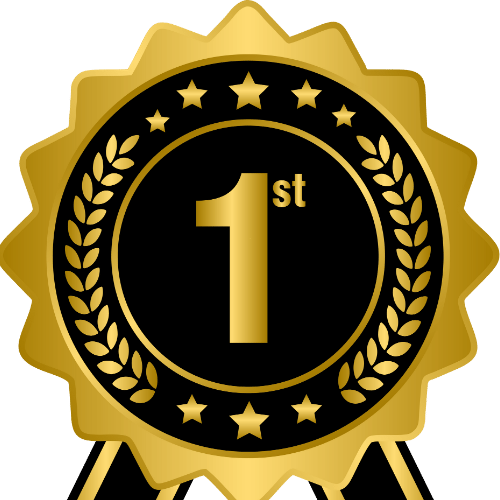 1sttrustfinancialcredit.com favicon