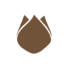 boekweitkussen.nl favicon