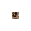 champagnesimon.dk favicon