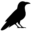 ravenpoulshot.co.uk favicon