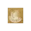 scoophome.fr favicon