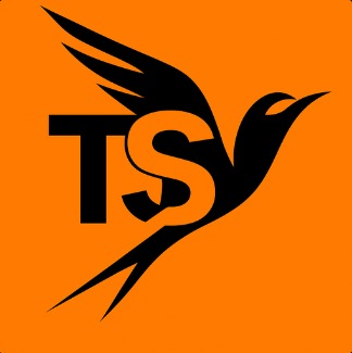 ternsync.co.ke favicon