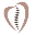 thescolicoach.com favicon