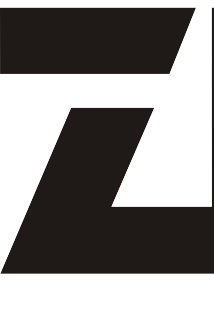 zhenduotoys.com favicon