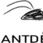 antderground.com favicon