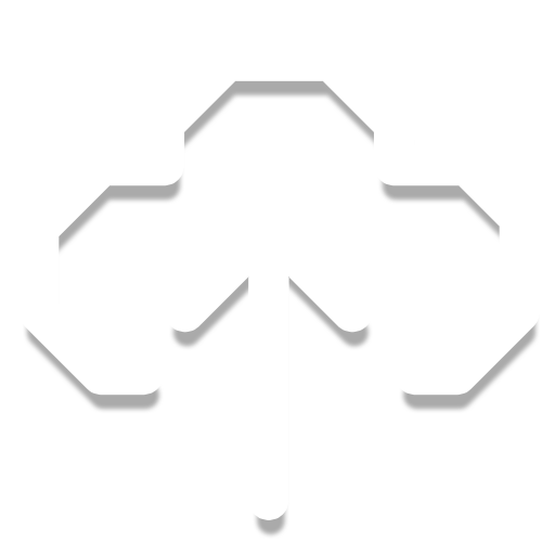 bigshare.io favicon