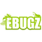ebugz.eu favicon