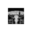 midwestbbqpitsandgrill.co.uk favicon